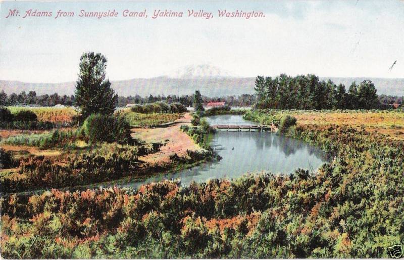 1905 1915 Postcard Mt Adams Sunnyside Canal